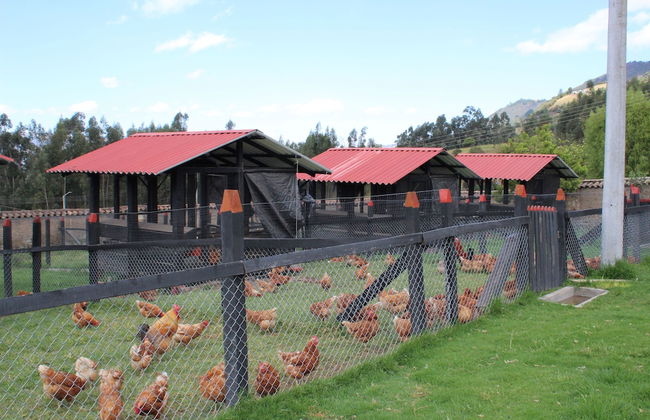 El Hostel Granjero - Foto 30