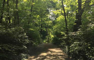 Guest loft on the lake - Foto 20