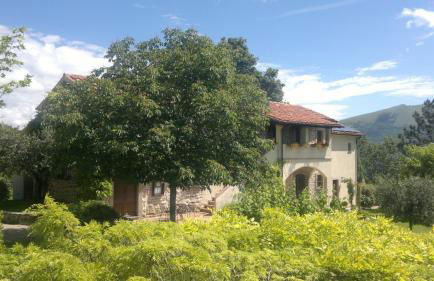 Casale degli ulivi - Foto 1