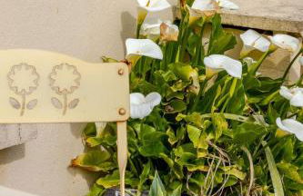 Le St Laurent - Photo 11