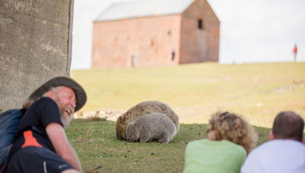Maria Island National Park Tour - Foto 4