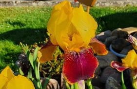 Ferienwohnung Sägemühle - Foto 30