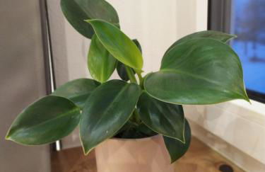 Allgäu Loft Bergzeit - Photo 19