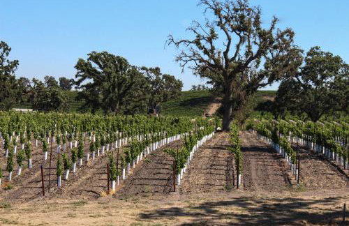 Blue Door Retreat - Foto 38