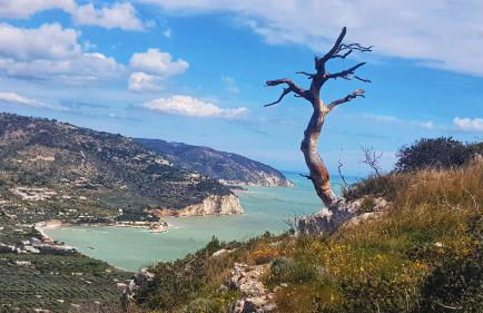 Relaxing italian seaside apartment - Foto 28