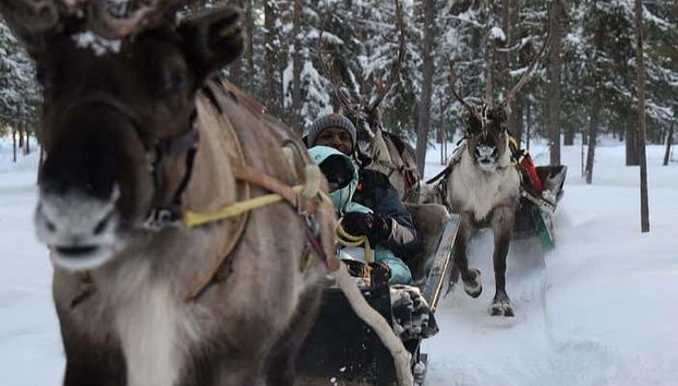 During the sleigh ride