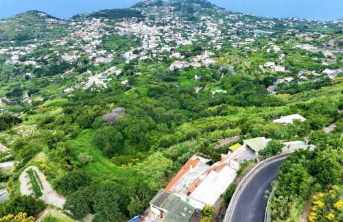 Villa Gesualda - Foto 1