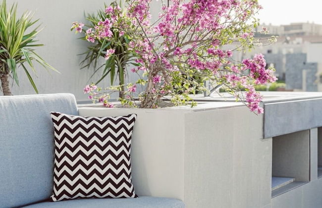 Bird Nest At Sheikh Zayed - Foto 52