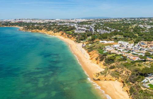 T2 Eucalipto 2A by Algarneto - Foto 31