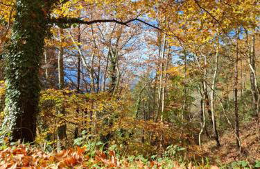 Casa Di Munti - Photo 65