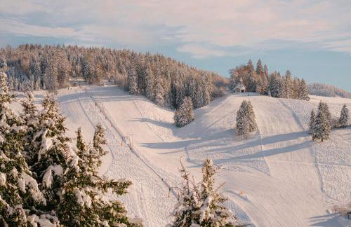 Chalet Foret - Ferienhaus - Foto 33