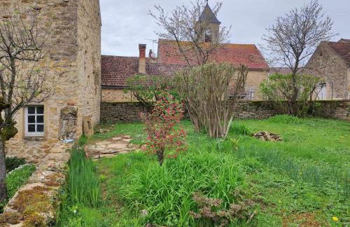 La glycine - Foto 18