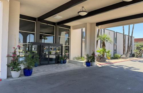 Tempe Oasis - Foto 10