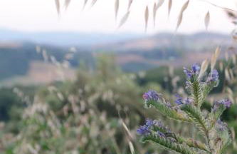 Agriturismo Escaia - Foto 23