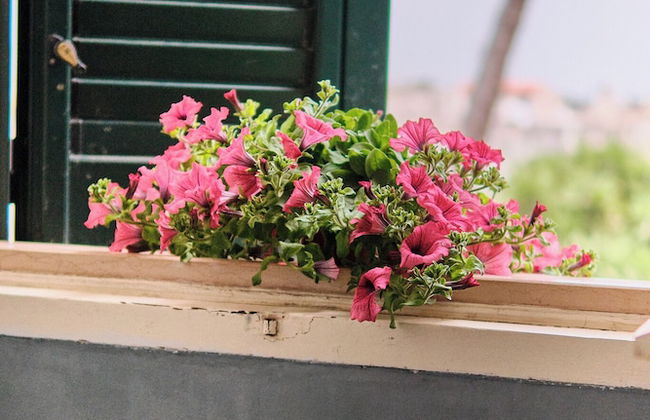 Palazzo Scarciglia - Photo 64