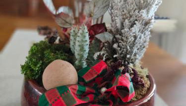 Casa do Avô Gil - Foto 2