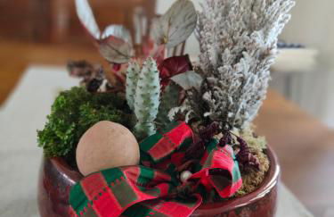 Casa do Avô Gil - Foto 11