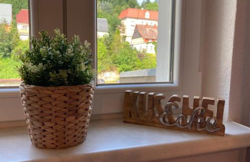 Sandstein-Ferien, FeWo "Biela", gemütlich, zentral, Terrasse, familienfreundlich - Foto 12