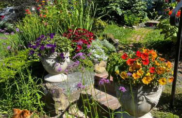 House on the Gwynns Falls - Foto 32