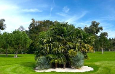 Suite du pré Robert - Foto 12