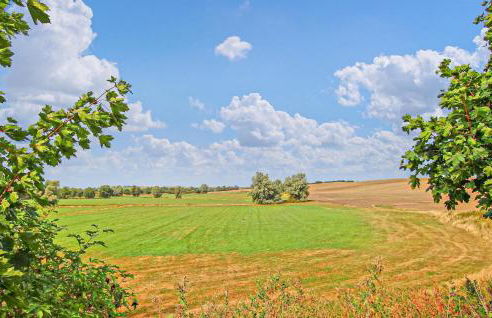 Ferienwohnung Woldegk - Foto 25