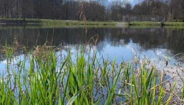 Arreau appartement 4 personnes - Foto 5
