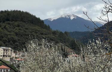 Kotrona Apartments - Foto 48