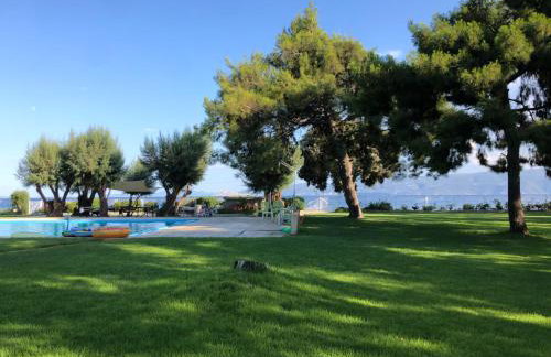 Ανεμπόδιστη Θέα με Κήπο και Πισίνα - Foto 22