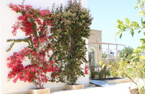 Masseria Rifisa AgriResort - Foto 78