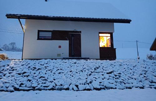 Lisia Norka - Foto 28