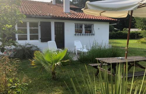 Villa Orcas - Foto 9