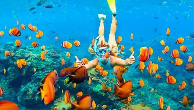 Snorkeling compartilhado de dia inteiro nas Ilhas Hamata saindo de Marsa Alam - Foto 3