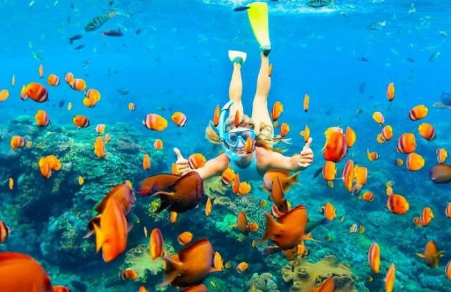 Snorkeling compartilhado de dia inteiro nas Ilhas Hamata saindo de Marsa Alam - Foto 3