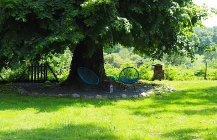 La Vache Bleue - Foto 11