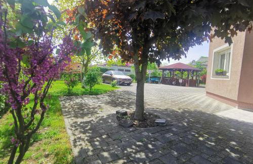 Apartmani Jastreb - Foto 11