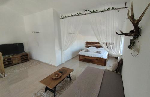 Mandre Duplex Apartment - Foto 9