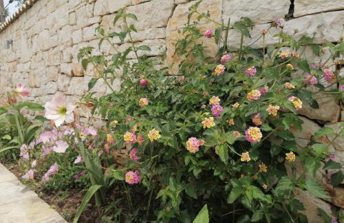 Makis Apartments - Foto 38