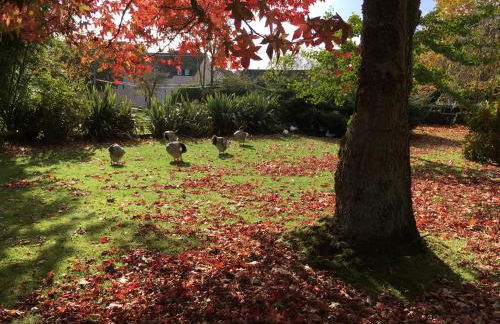 maison familiale au cœur du cotentin - Foto 39