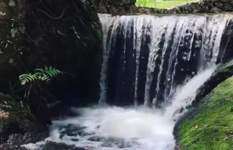 Chalé Banho de Floresta Atibaia Clube de Montanha - Foto 45