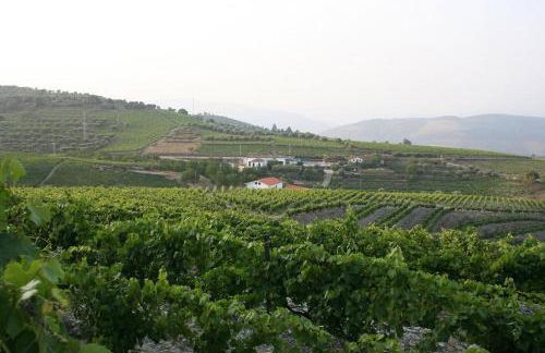 Quinta da Padrela Winery House - Foto 49