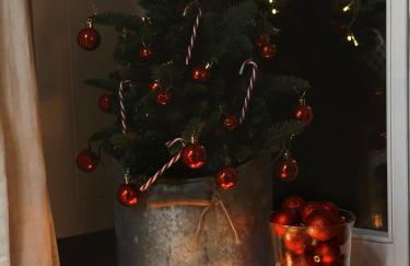 Borda de Fadrín - Foto 30