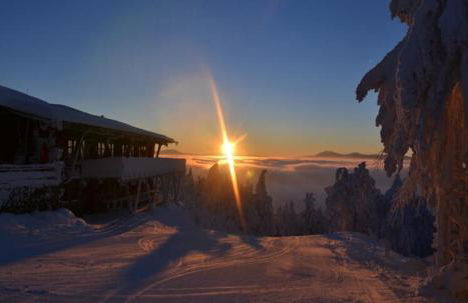 Wofahanslhof - Foto 16