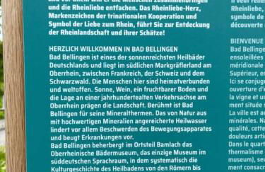 Vogesenblick - Foto 18