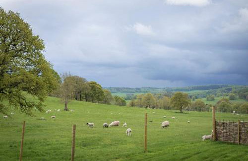 Woodlands Shepherds Hut Chatsworth Estate - Photo 9