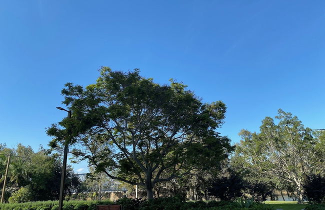 Cityville Apartments & Motel - Foto 17