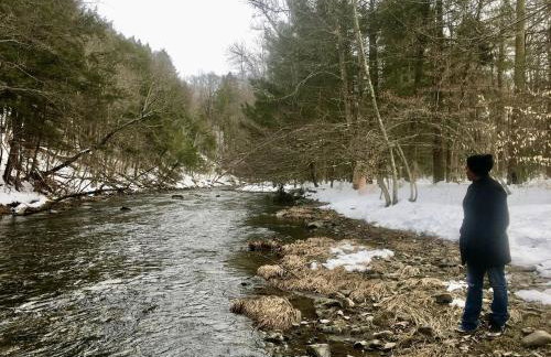 Romantic Glamping Getaway in a Pet Friendly Caravan, Ideal to Explore Hudson Valley - Foto 14