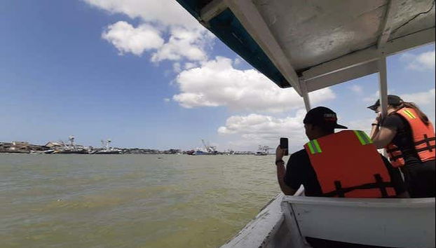 Trip to Puerto El Morro with Dolphin Watching - Foto 4