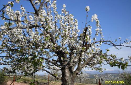 Casa Rural Amelia - Foto 27