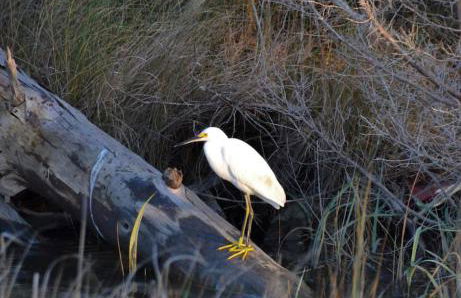Waterfront Home 3BR King bed Private Dock - Foto 8