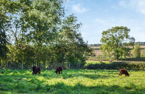 The Old Greenhouse - Uk45328 - Foto 17